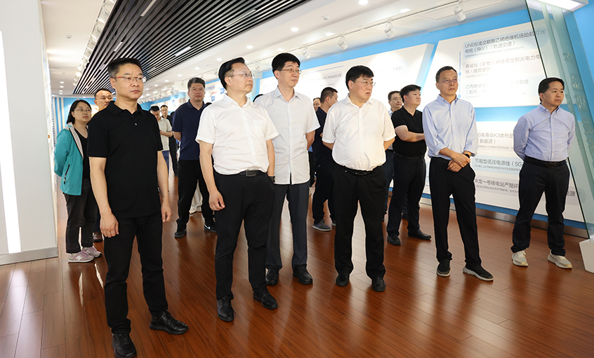 长三角信息化专题组一行来pg电子电缆调研
