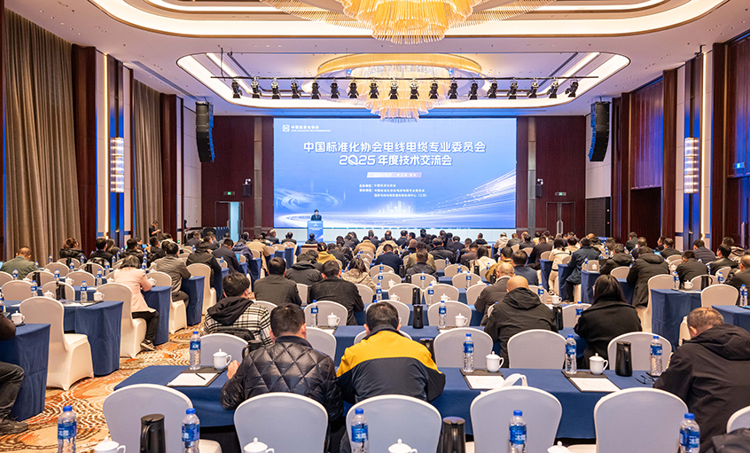 pg电子电缆受邀加入2025电线电缆手艺交流会