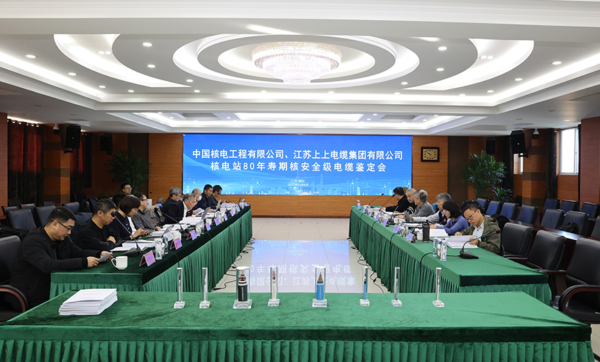 国际领先，，，，，，pg电子电缆“核电站80年寿期核清静级电缆”通过国家级判断